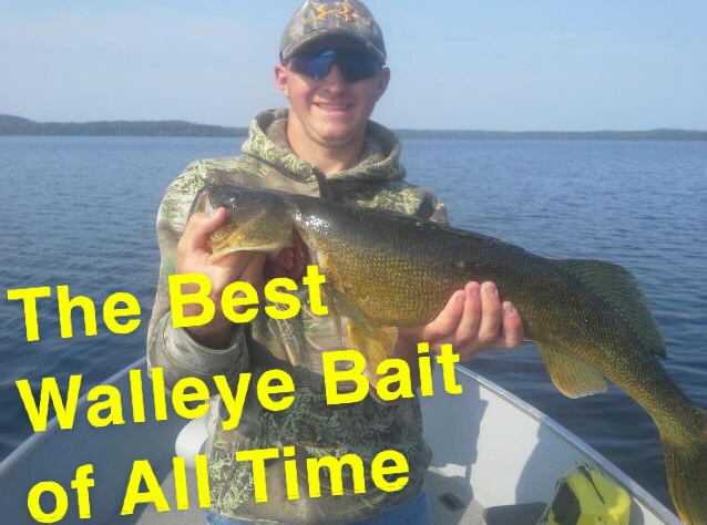 The Best Walleye Bait Of All Time